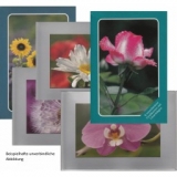 Grußkartenboxen - 5er Set