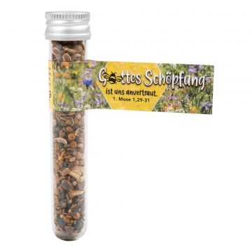 Reagenzglas mit Bienenwiesen-Samenmischung "Gottes Schöpfung..."