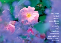 Postkartenserie "Der Herr ist gut zu uns"