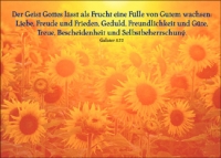 Postkartenserie "Der Geist Gottes lässt als Frucht"