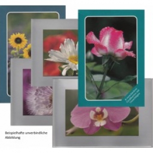 Grußkartenboxen - 5er Set