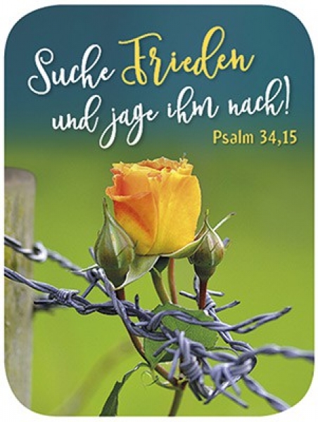 Mini-Reinigungs-Pad "Jahreslosung 2019: Suche Frieden ..."