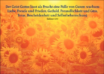 Postkartenserie "Der Geist Gottes lässt als Frucht"