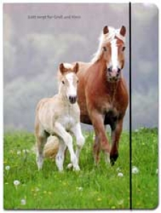 Sammelmappe "Pferde"